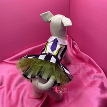 Load image into Gallery viewer, Beetlejuice - Pet Costume