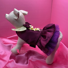 Load image into Gallery viewer, Beetlejuice Wedding Suit - Pet Costume