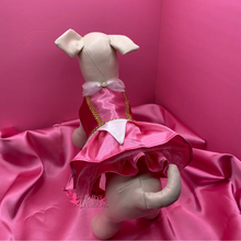 Load image into Gallery viewer, Sleeping Beauty - Aurora - Pet Costume