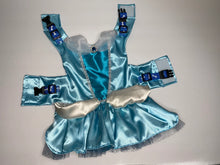 Load image into Gallery viewer, Cinderella - Pet Costume