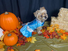 Load image into Gallery viewer, Cinderella - Pet Costume