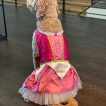 Load image into Gallery viewer, Sleeping Beauty - Aurora - Pet Costume