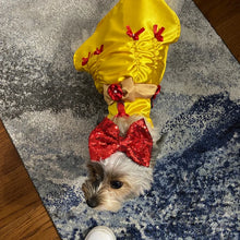 Load image into Gallery viewer, Beauty and the Beast - Belle - Pet Costume