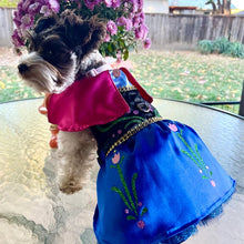 Load image into Gallery viewer, Frozen - Anna - Pet Costume