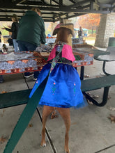 Load image into Gallery viewer, Frozen - Anna - Pet Costume