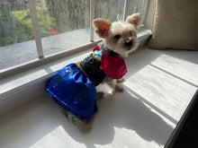 Load image into Gallery viewer, Frozen - Anna - Pet Costume