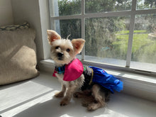 Load image into Gallery viewer, Frozen - Anna - Pet Costume