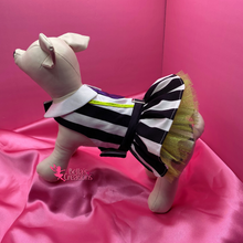 Load image into Gallery viewer, Beetlejuice - Pet Costume
