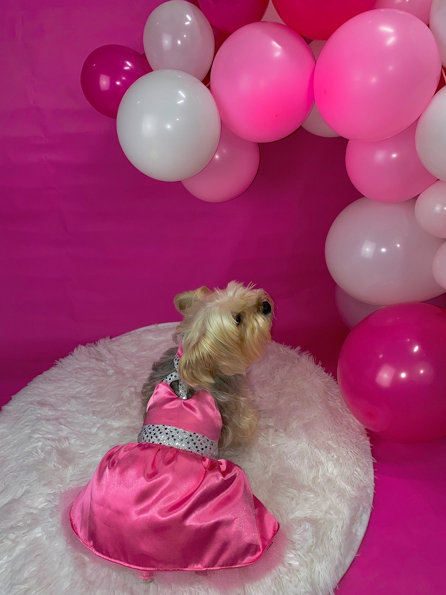 The Luna Pink Dress - Pet Costume