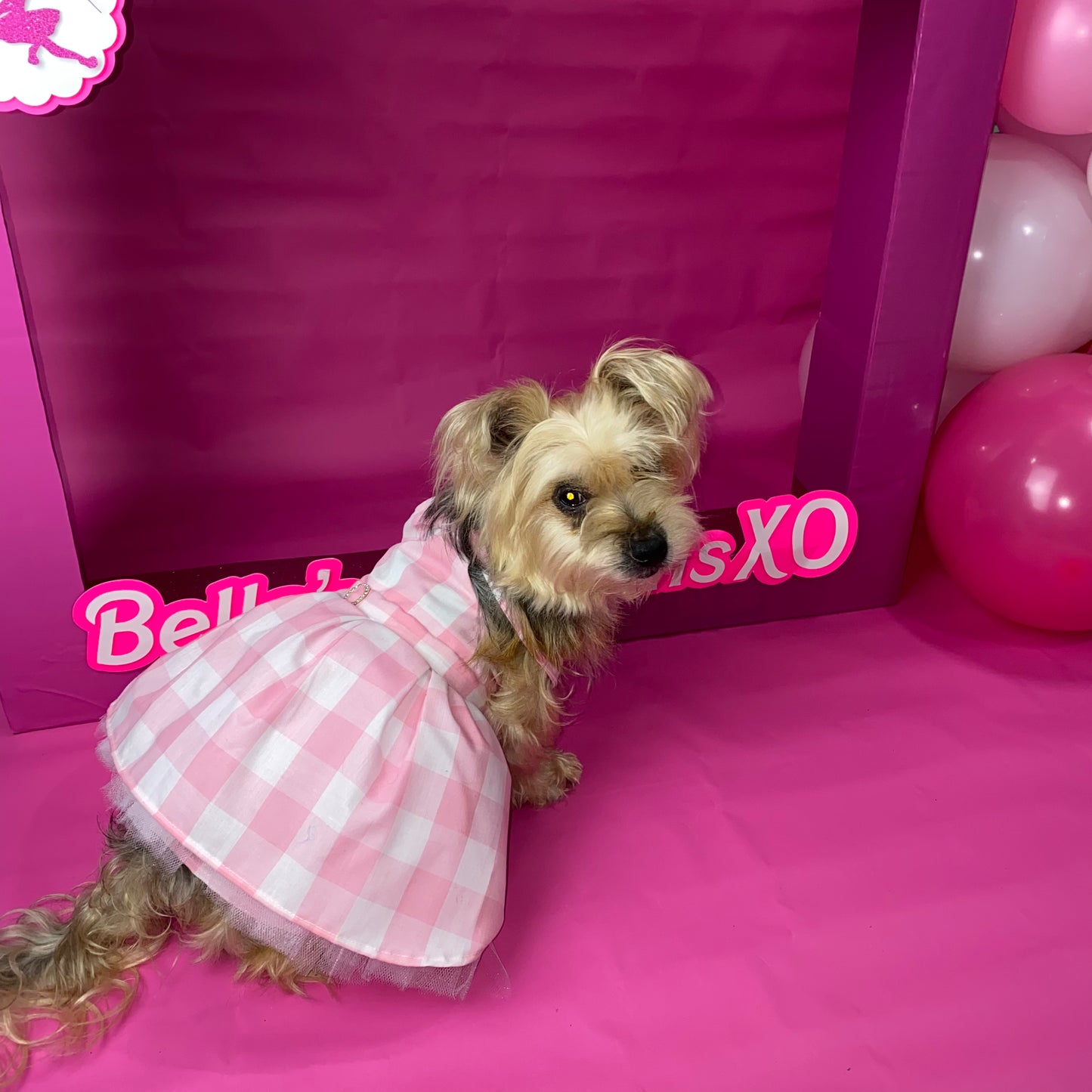 Barbie Pink Gingham - Pet Costume