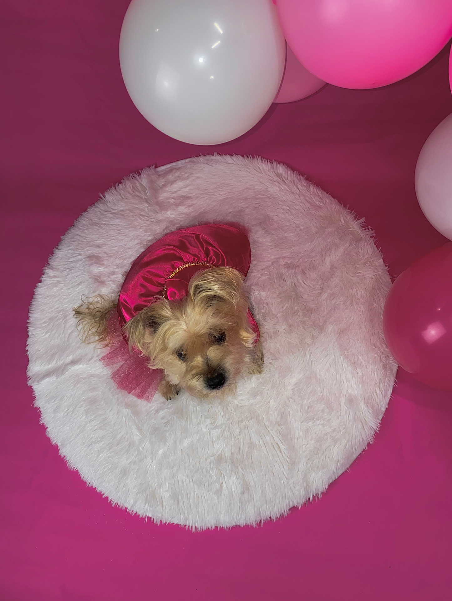 The Layla Pink Dress - Pet Costume