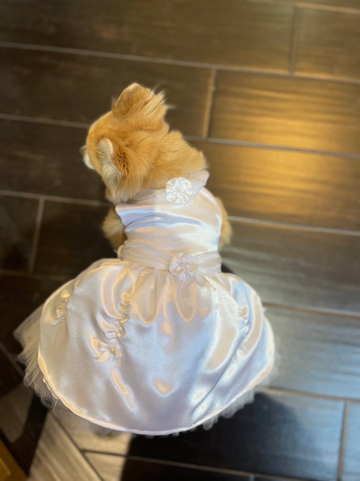 White Dress - Pet Costume