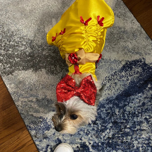 Beauty and the Beast - Belle - Pet Costume