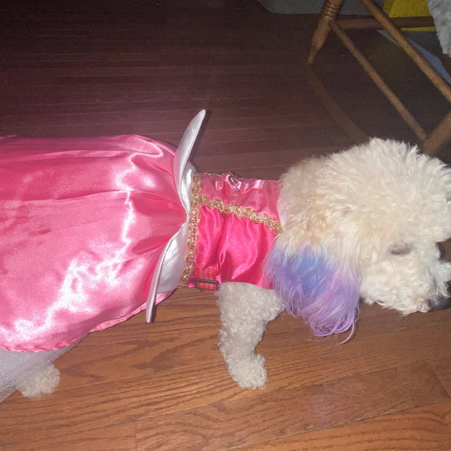 Sleeping Beauty - Aurora - Pet Costume