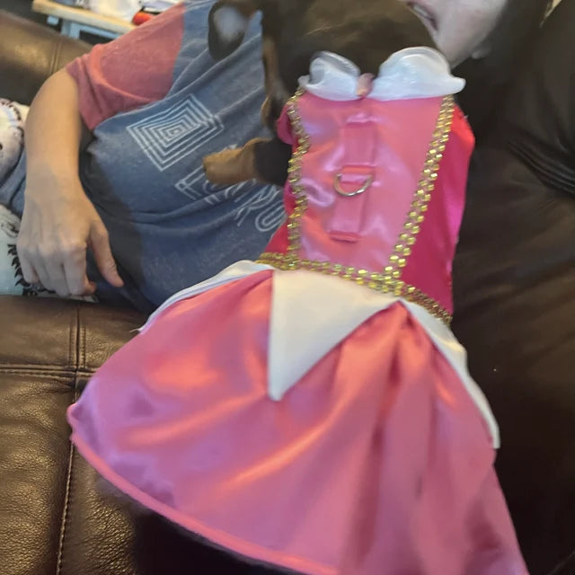 Sleeping Beauty - Aurora - Pet Costume