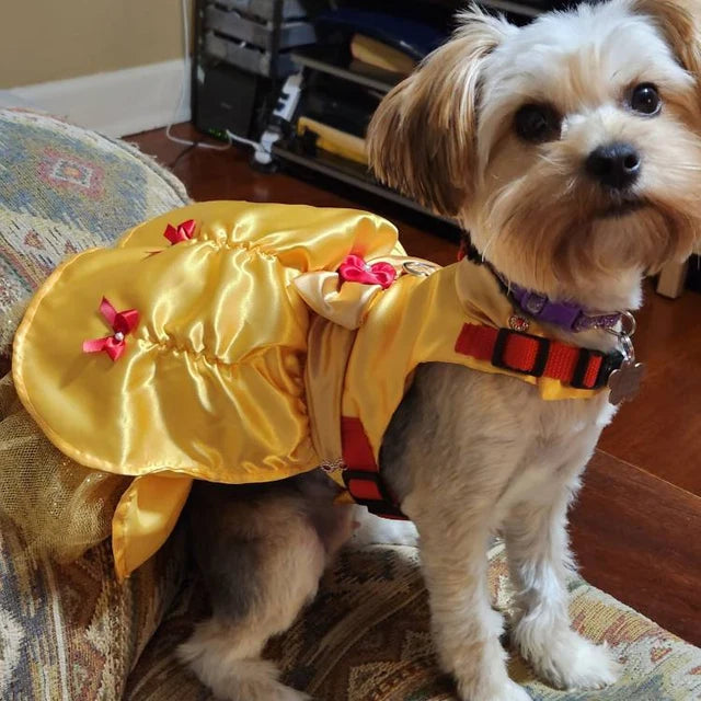 Beauty and the Beast - Belle - Pet Costume
