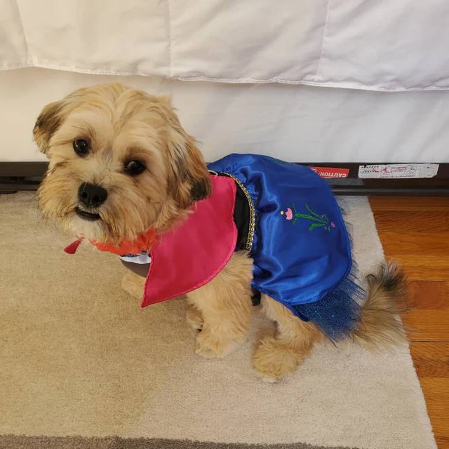 Dog frozen costume cheap