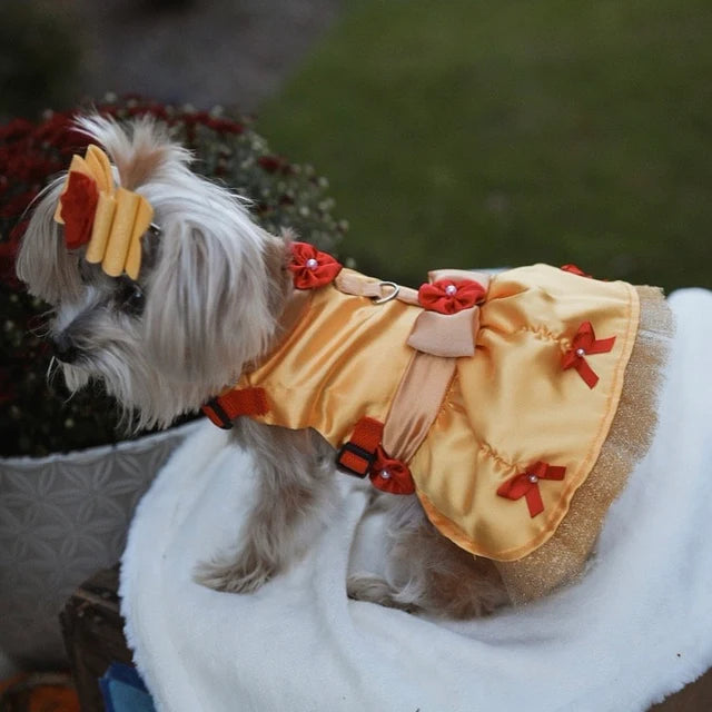 Beauty and the Beast - Belle