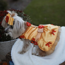 Load image into Gallery viewer, Beauty and the Beast - Belle - Pet Costume
