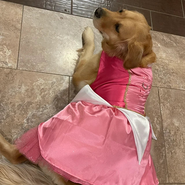 Sleeping Beauty - Aurora - Pet Costume