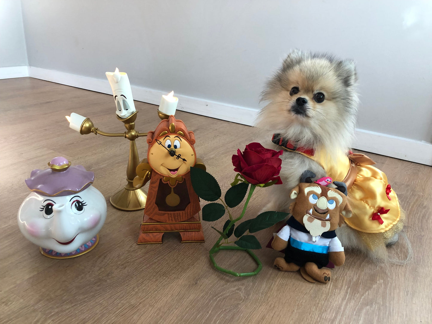 Beauty and the Beast - Belle - Pet Costume