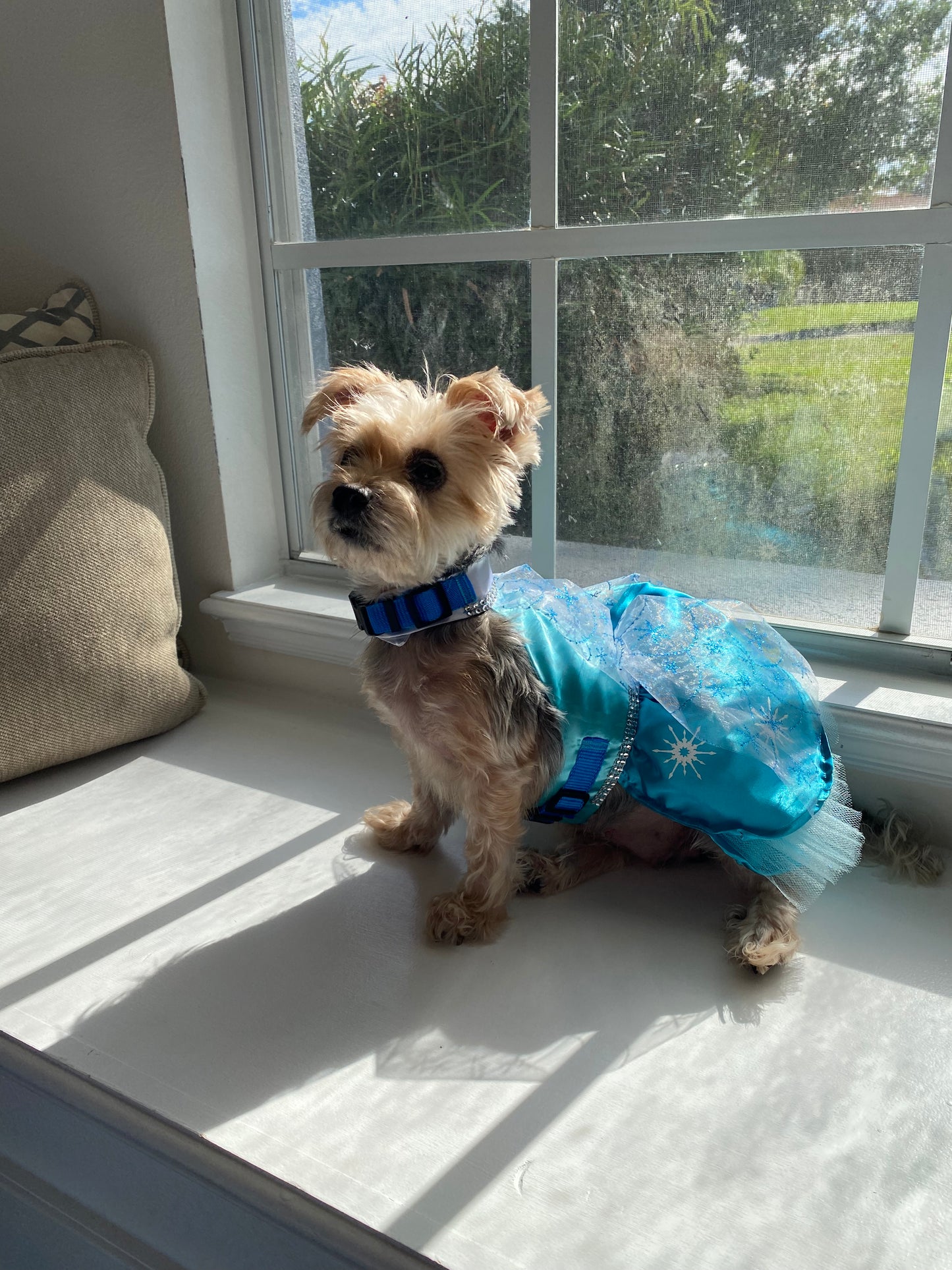 Frozen - Elsa - Pet Costume